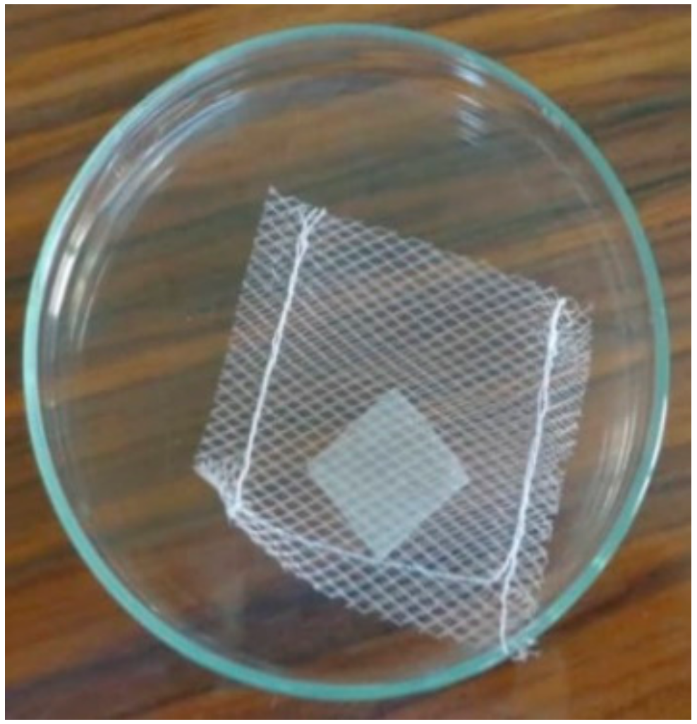 Membranes 11 00659 g001