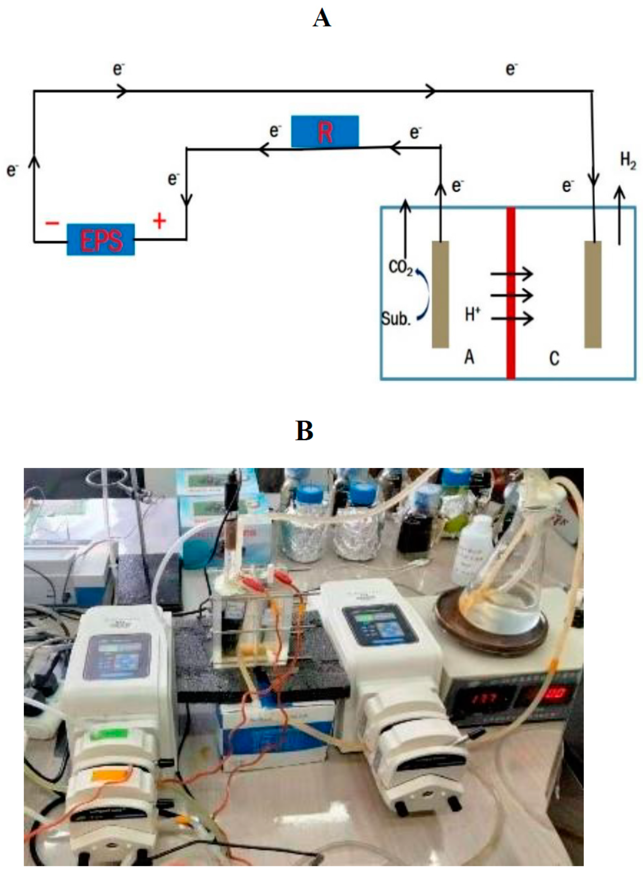Membranes 11 00661 g002