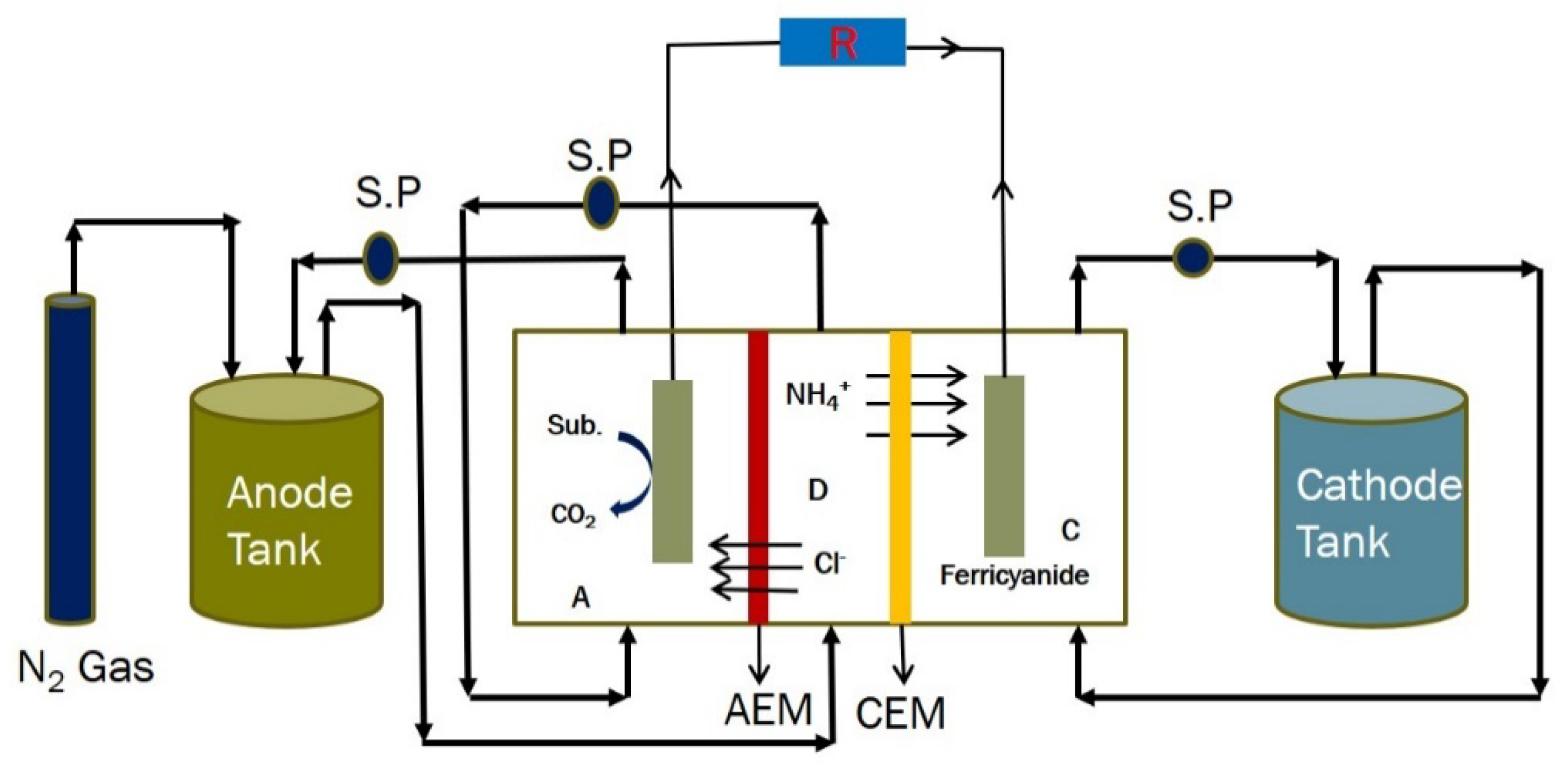 Membranes 11 00661 g005