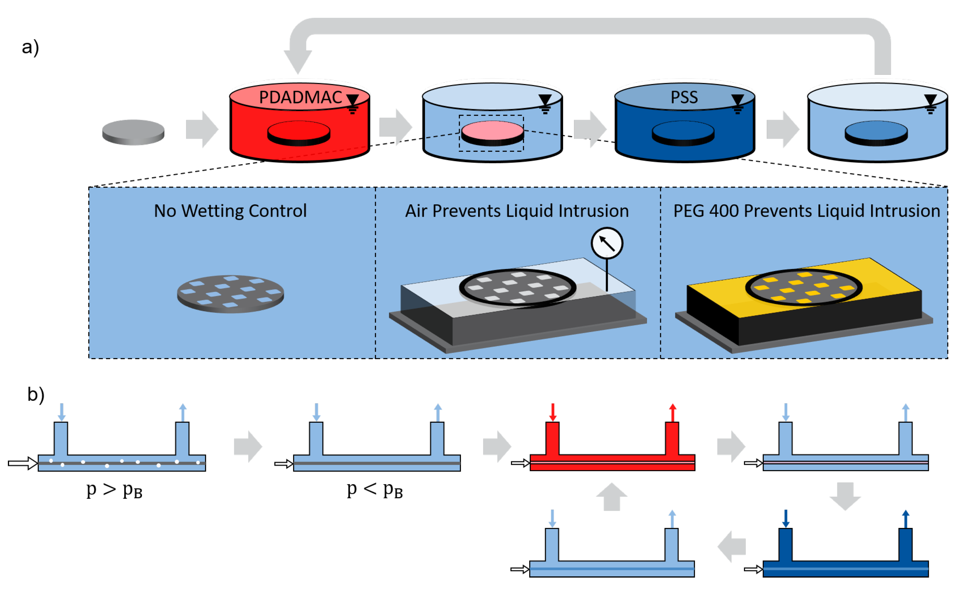 Membranes 11 00671 g001