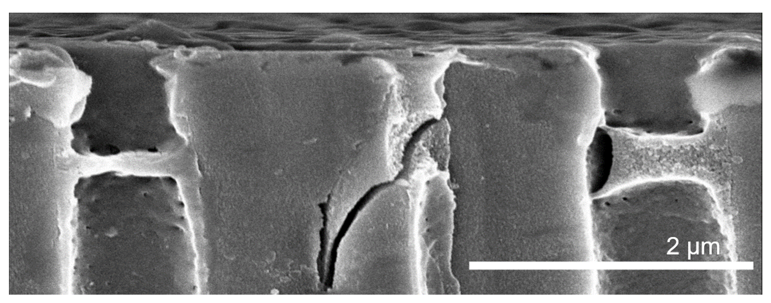 Membranes 11 00671 g003