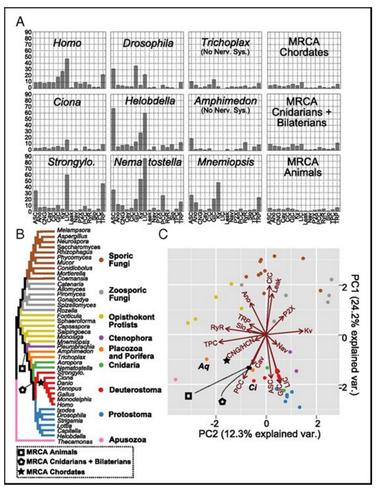 Membranes 11 00672 g005 Membranes 11 00672 g005