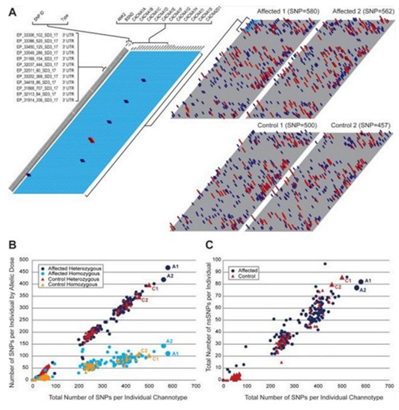 Membranes 11 00672 g007 Membranes 11 00672 g007