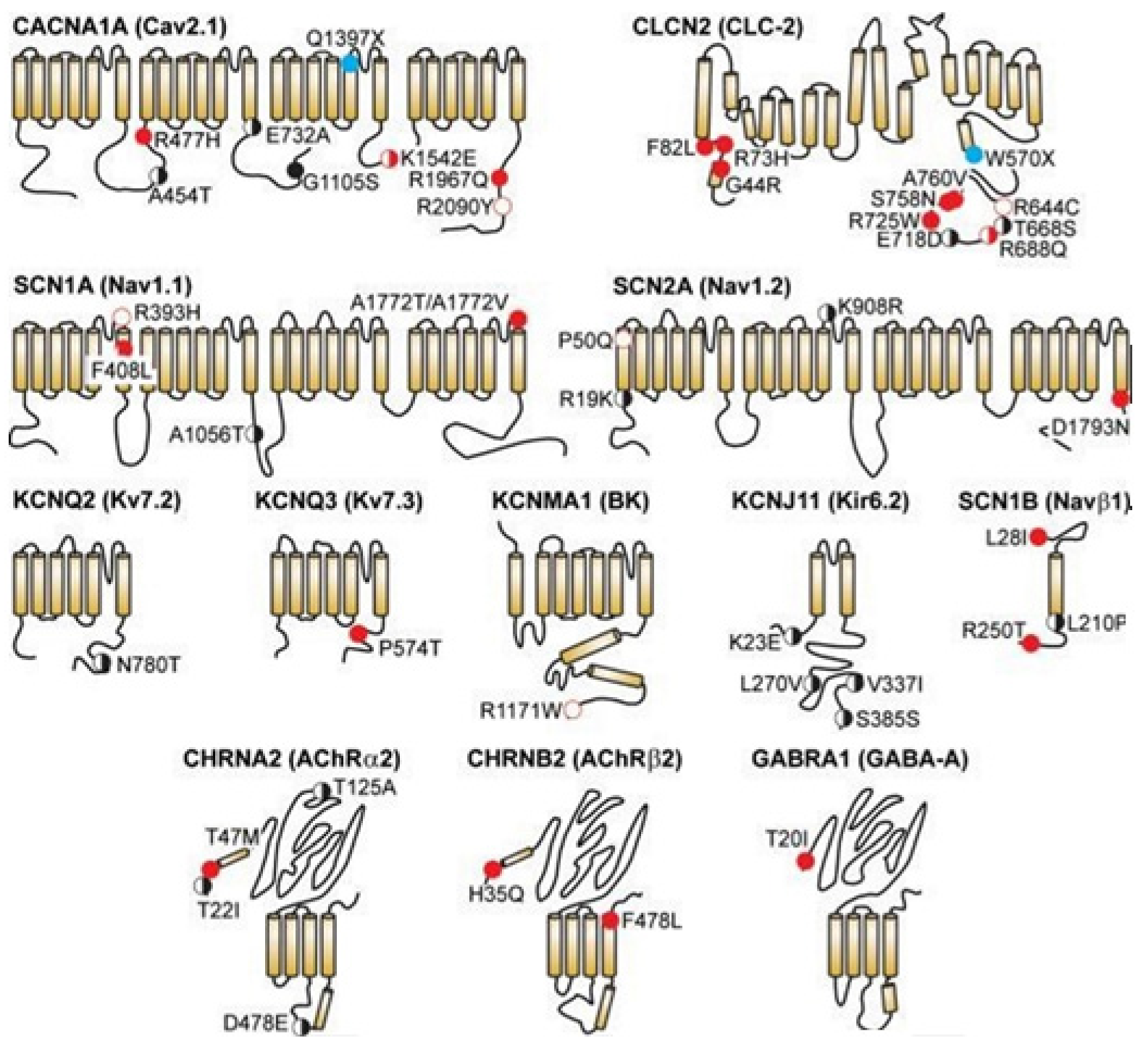 Membranes 11 00672 g008 Membranes 11 00672 g008