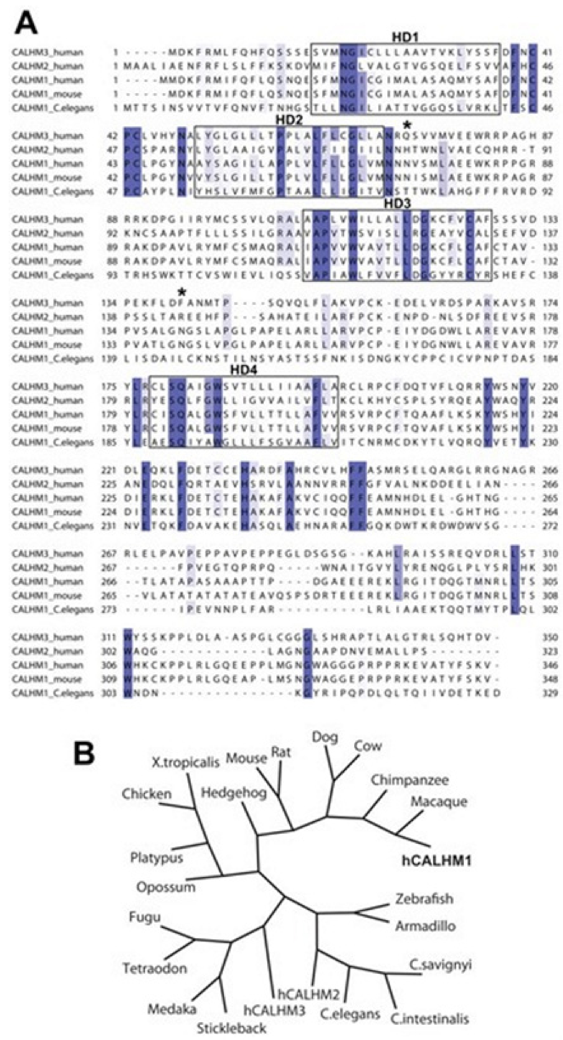 Membranes 11 00672 g009 Membranes 11 00672 g009