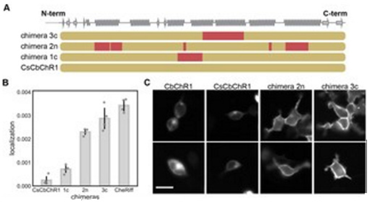 Membranes 11 00672 g018 Membranes 11 00672 g018