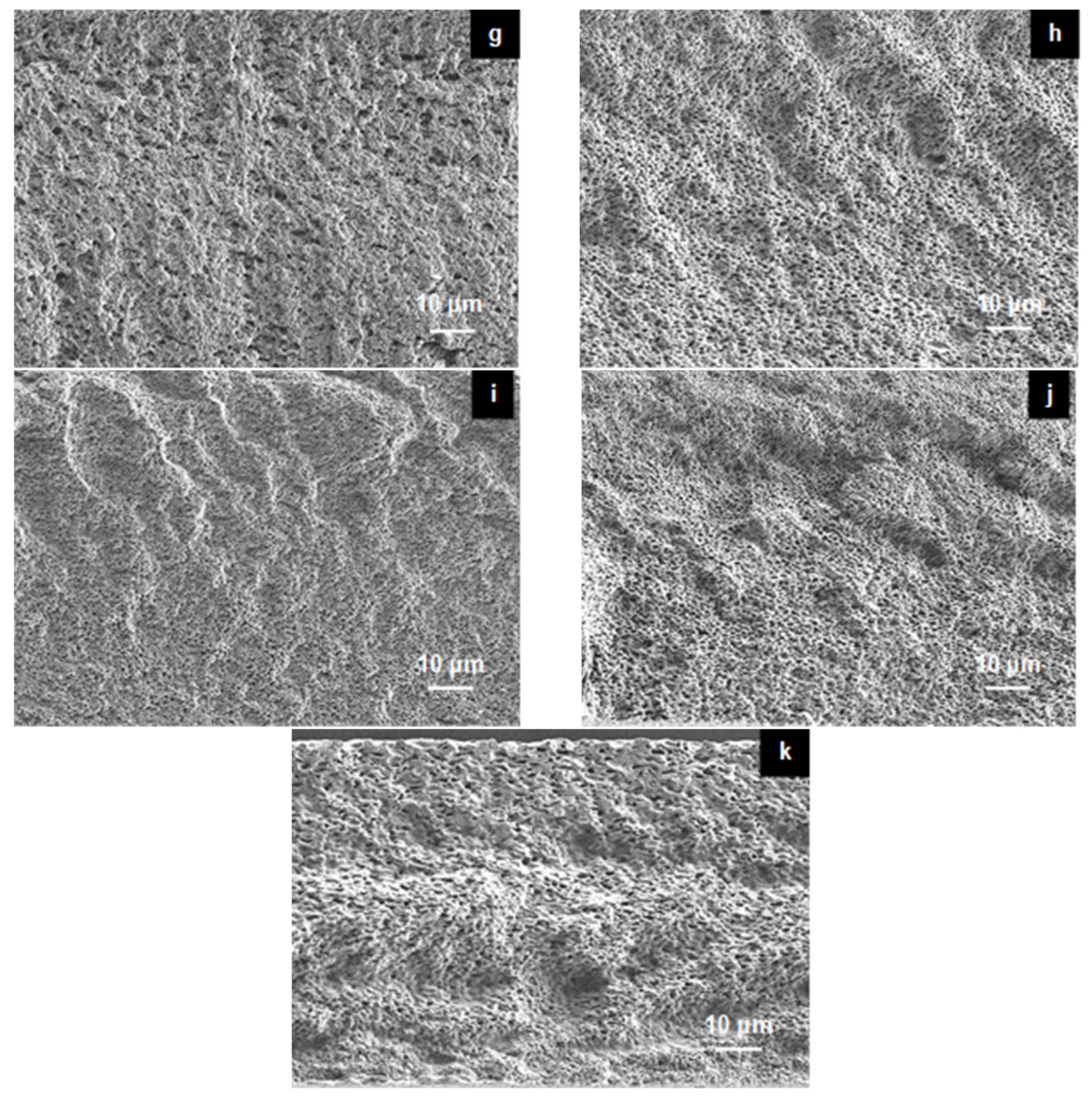 Membranes 11 00675 g003b
