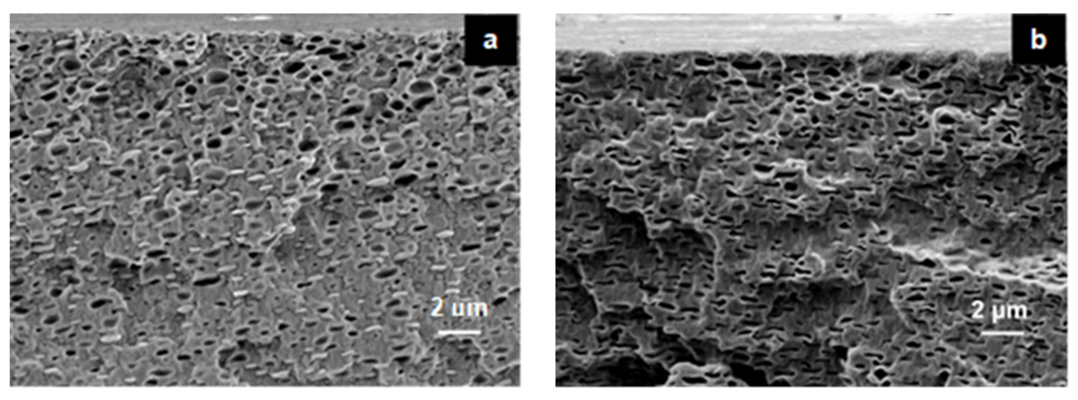 Membranes 11 00675 g008a