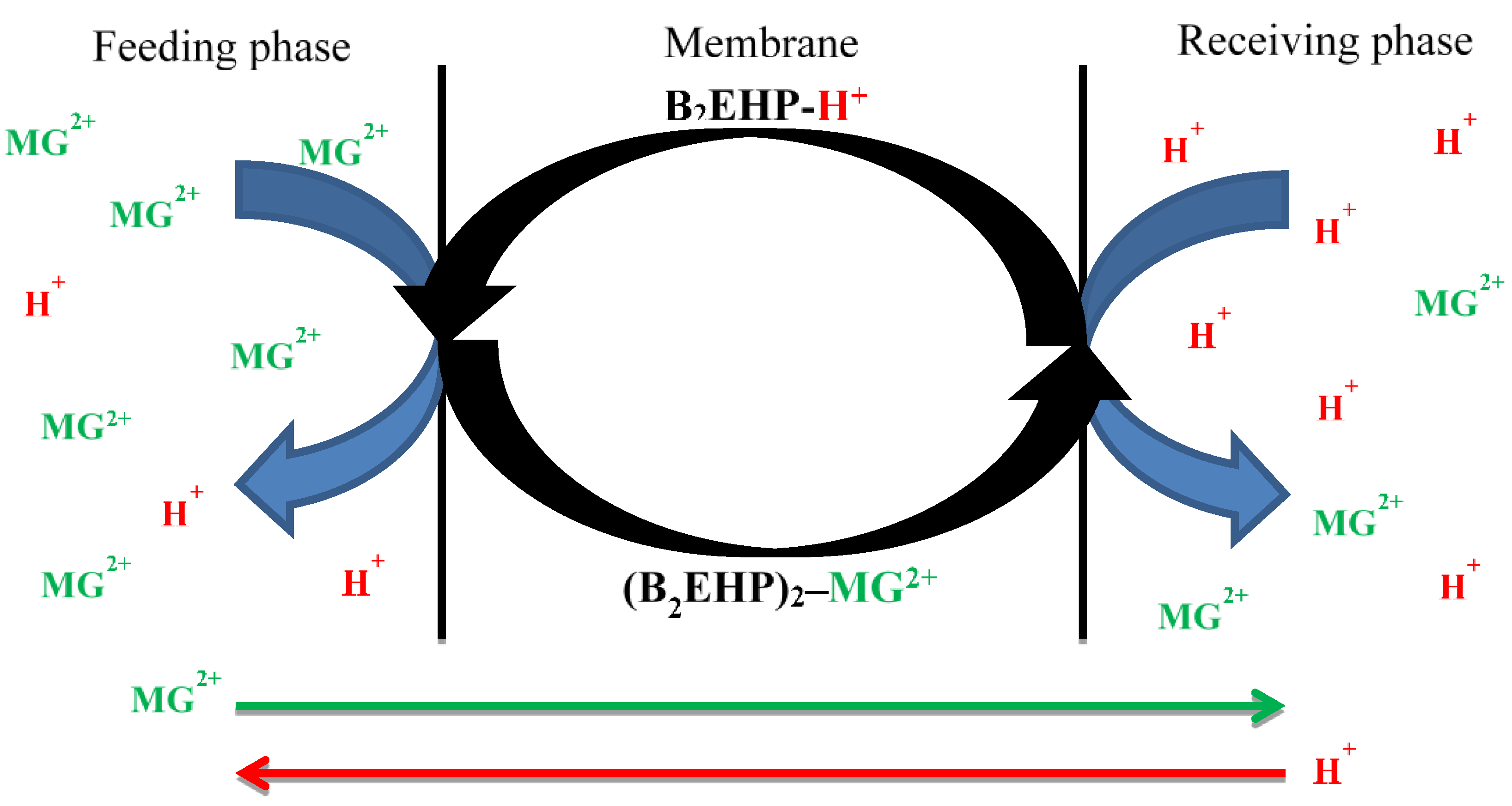 Membranes 11 00676 g014 Membranes 11 00676 g014