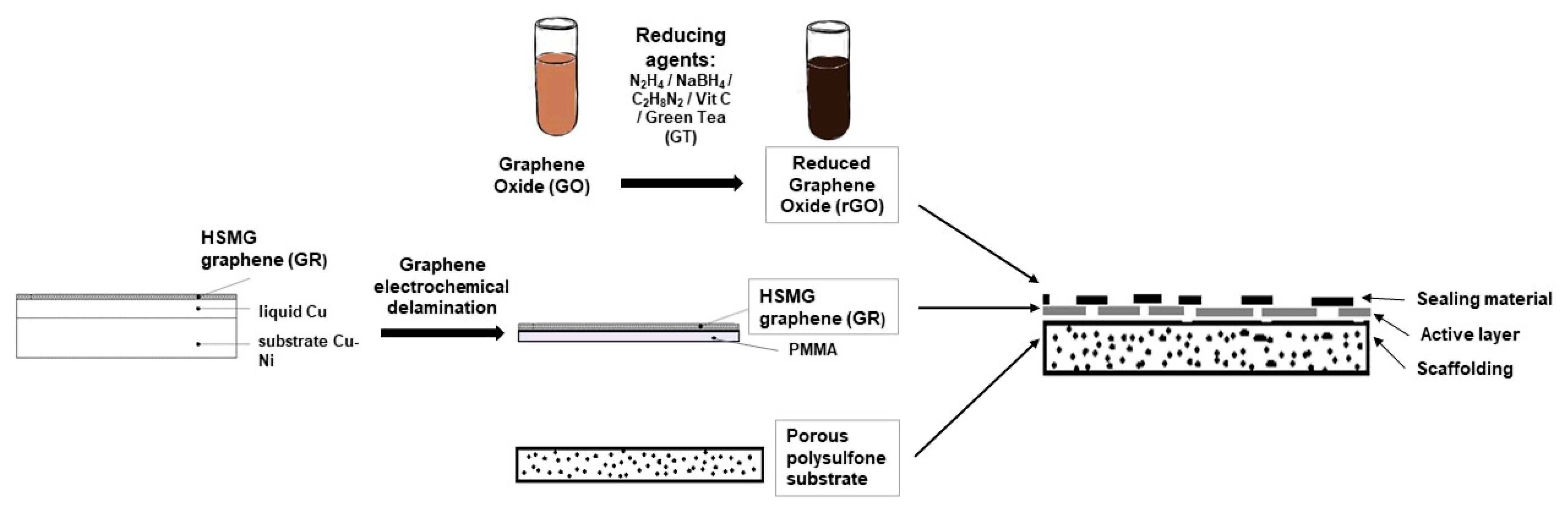 Membranes 11 00679 g001