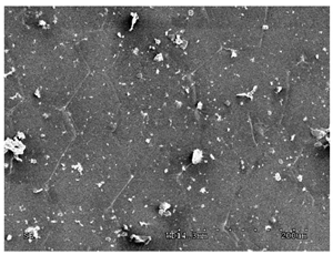 Membranes 11 00679 i001