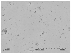 Membranes 11 00679 i002