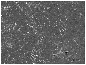 Membranes 11 00679 i003