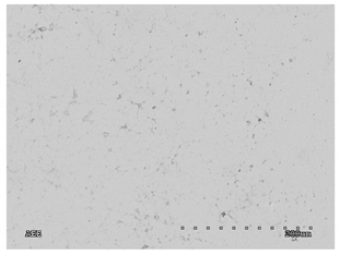 Membranes 11 00679 i004