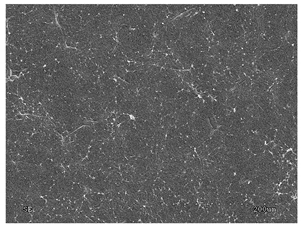 Membranes 11 00679 i005