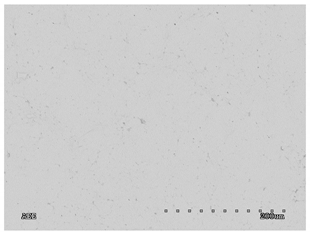 Membranes 11 00679 i006