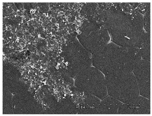 Membranes 11 00679 i007