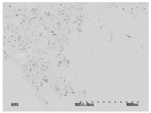 Membranes 11 00679 i008