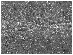 Membranes 11 00679 i009