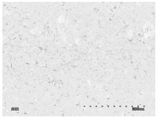 Membranes 11 00679 i010