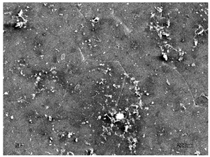 Membranes 11 00679 i011