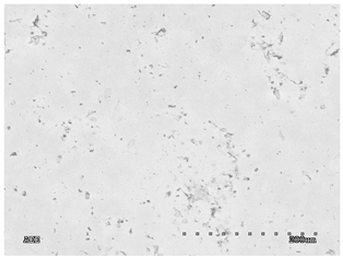 Membranes 11 00679 i012