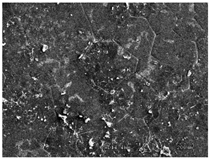 Membranes 11 00679 i013