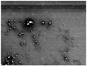 Membranes 11 00679 i015