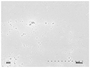 Membranes 11 00679 i016