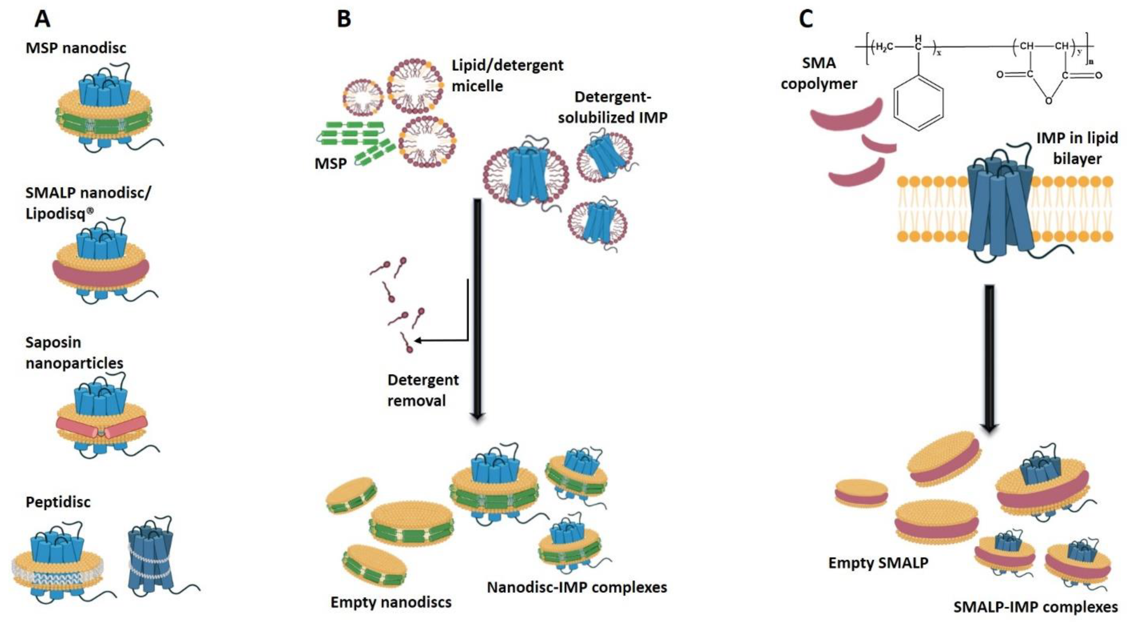 Membranes 11 00685 g004