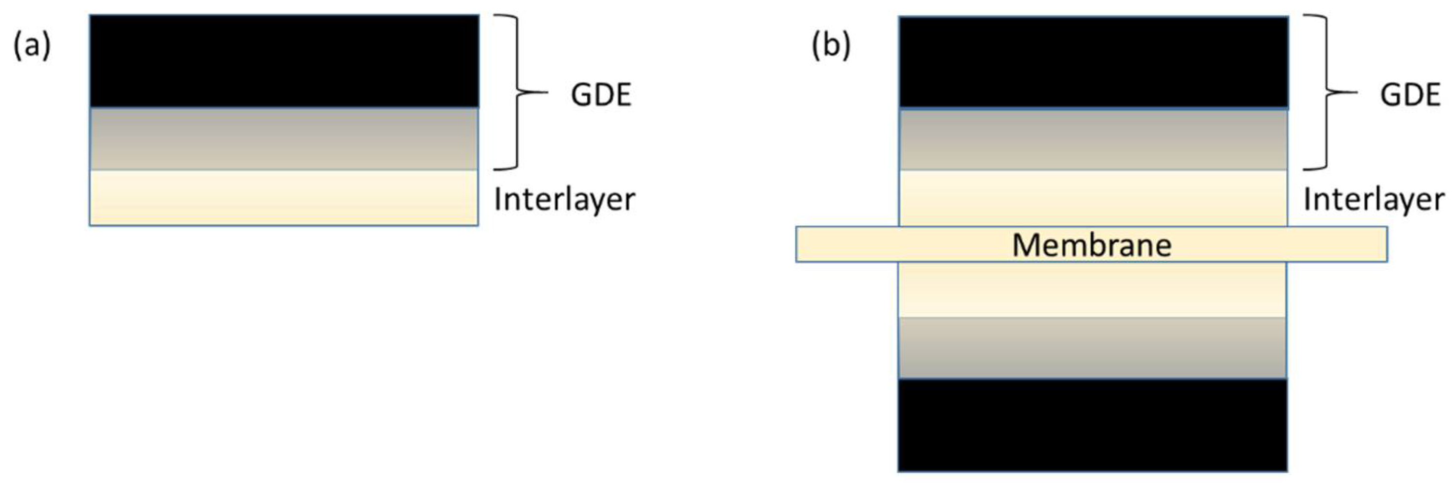 Membranes 11 00686 g002