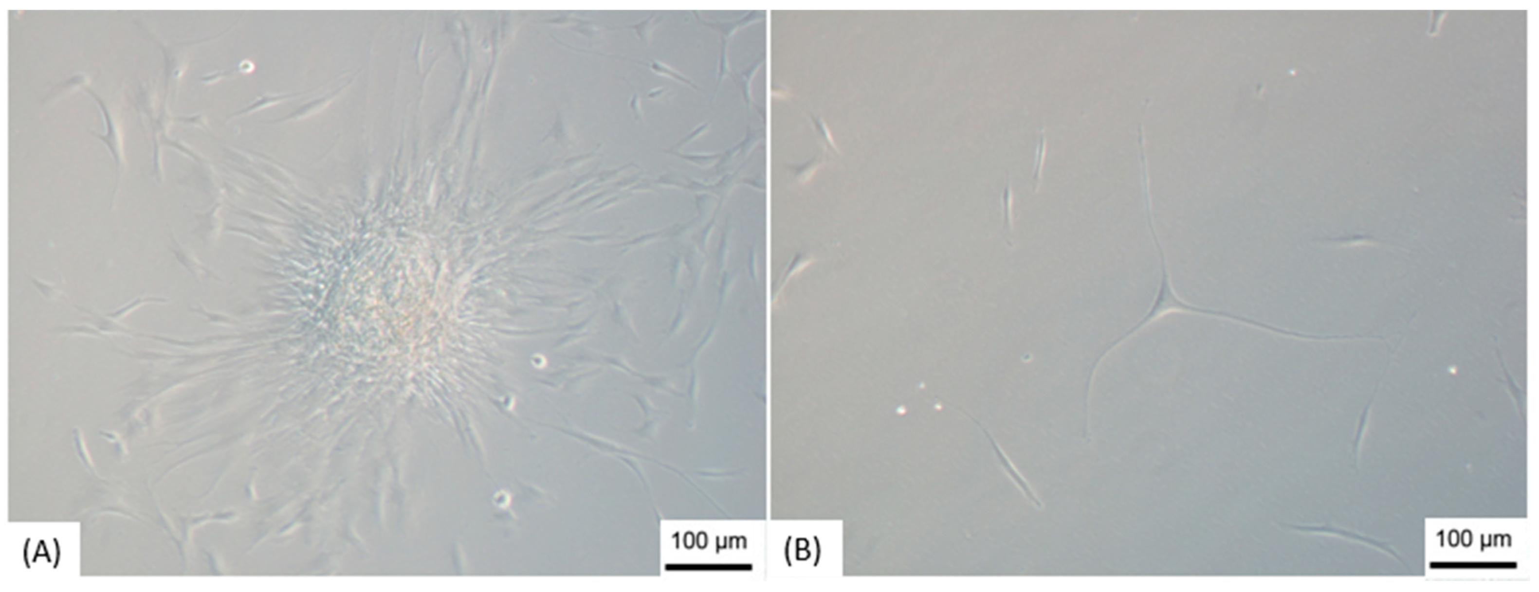 Membranes 11 00687 g003