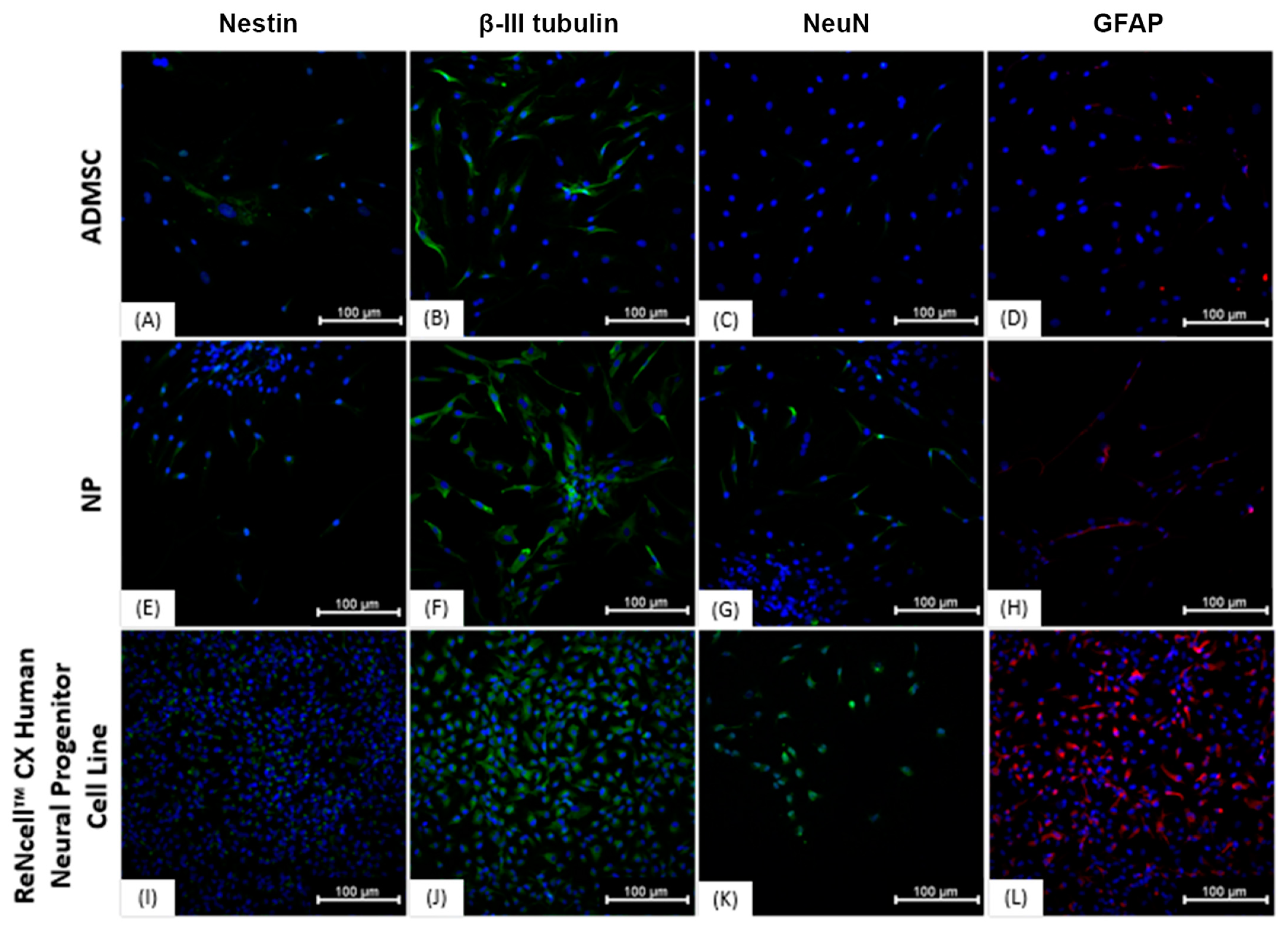 Membranes 11 00687 g004
