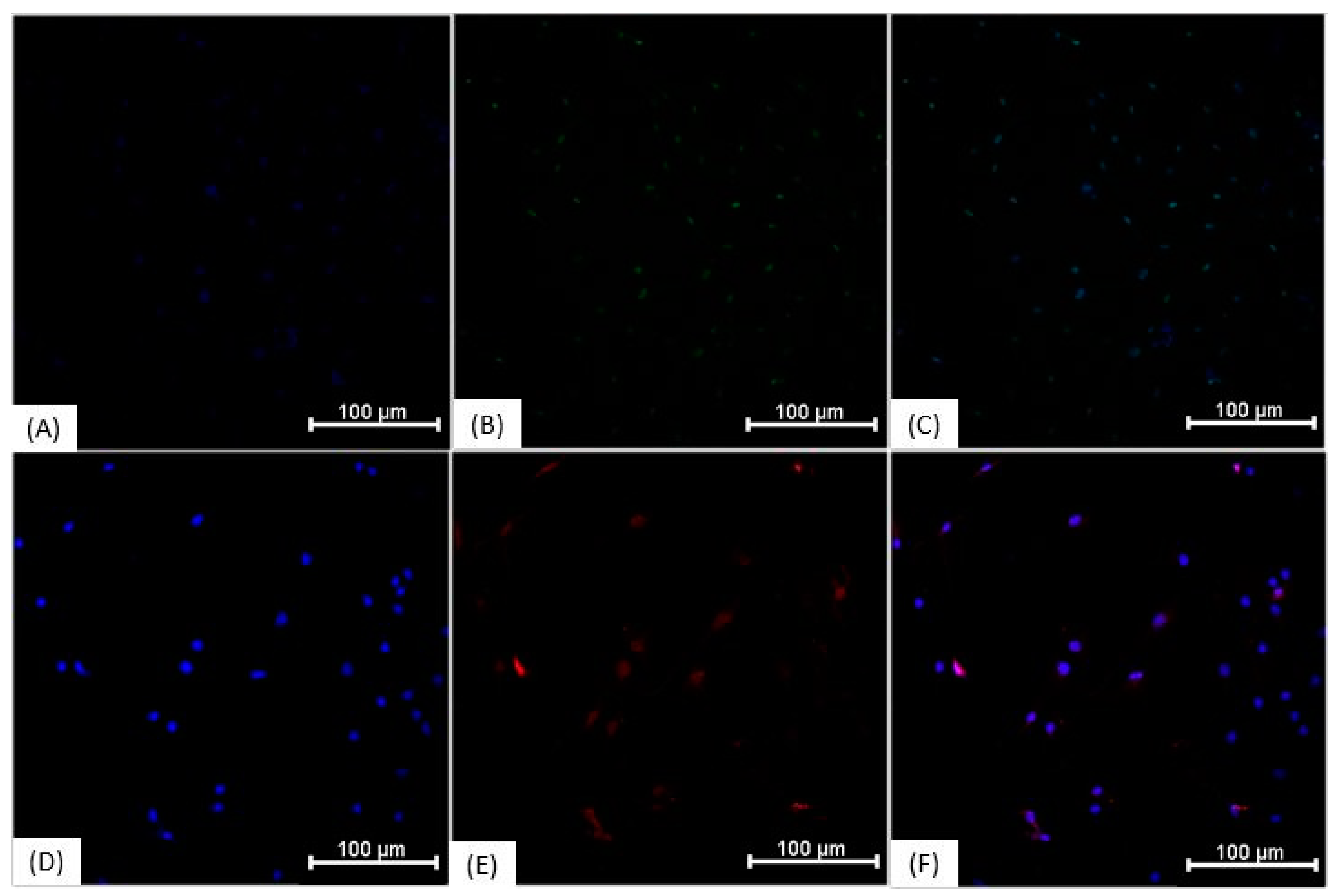 Membranes 11 00687 g005