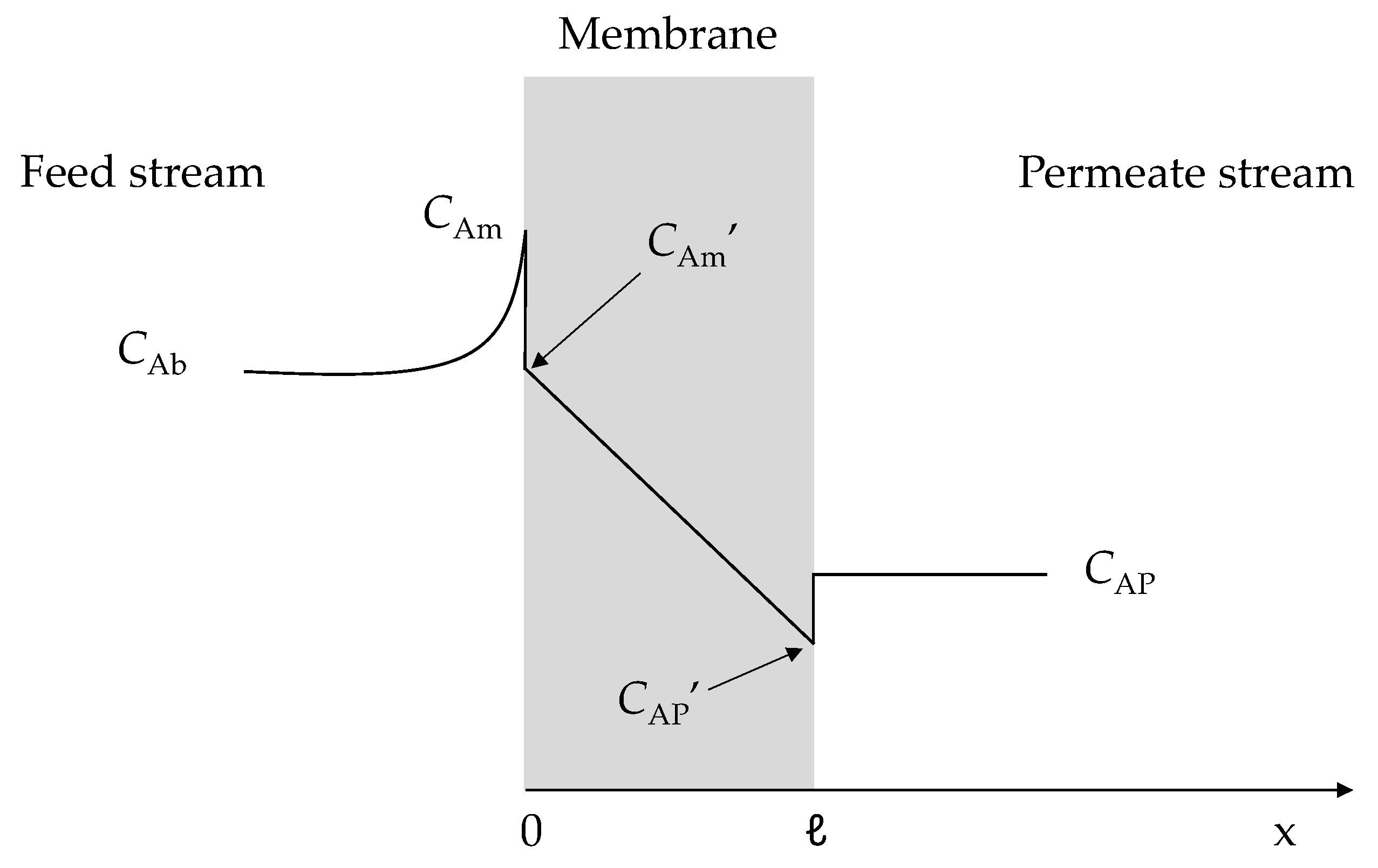 Membranes 11 00689 g001