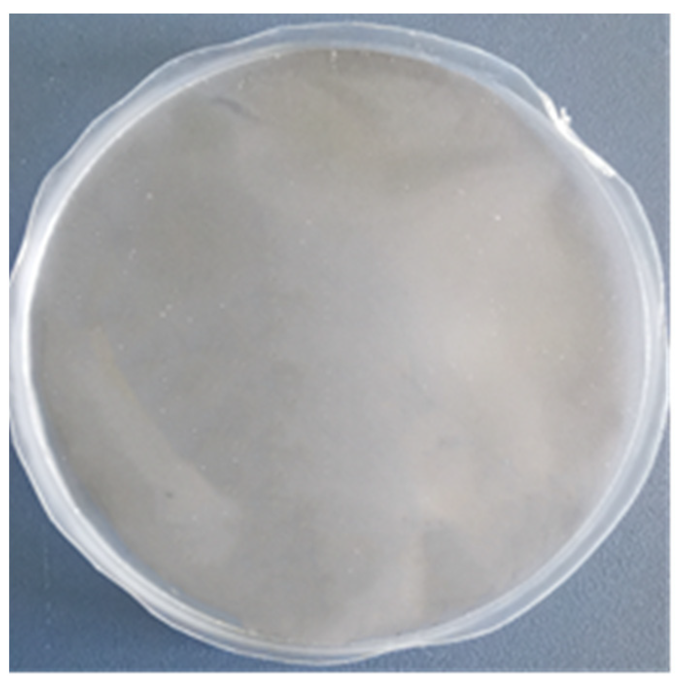 Membranes 11 00693 g002 Membranes 11 00693 g002
