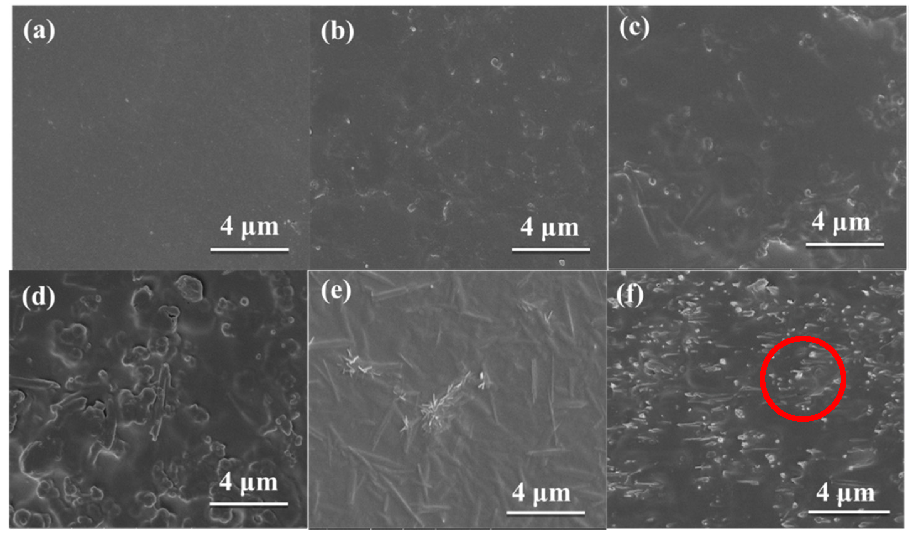 Membranes 11 00693 g006 Membranes 11 00693 g006