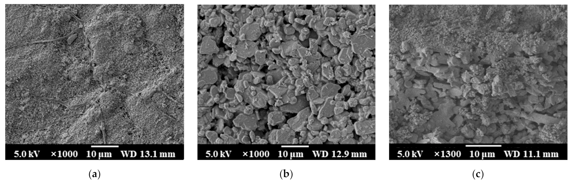 Membranes 11 00701 g003a