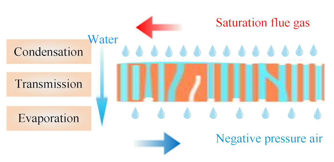Membranes 11 00701 g008