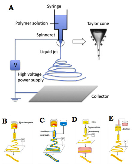 Membranes 11 00702 g002