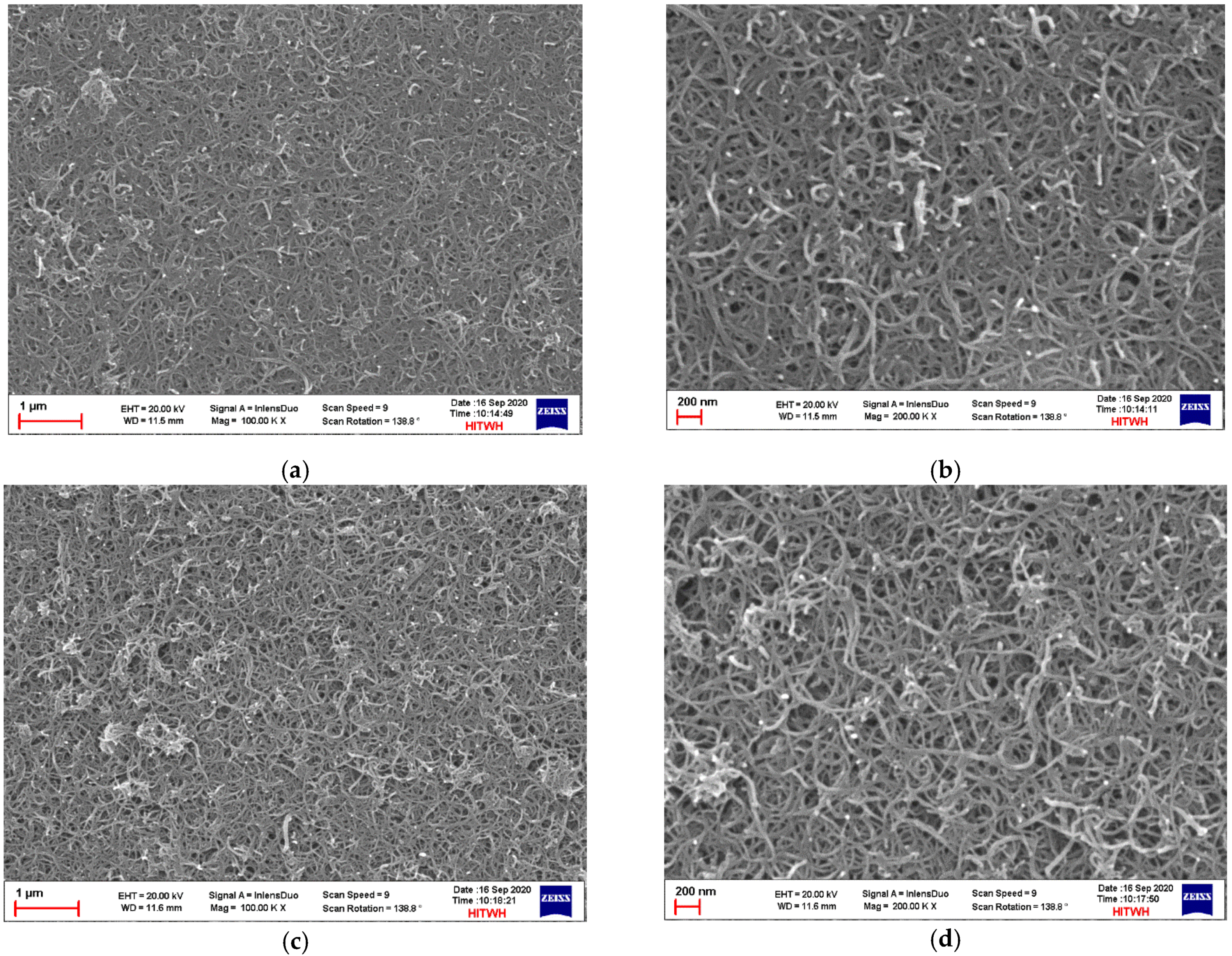 Membranes 11 00703 g003