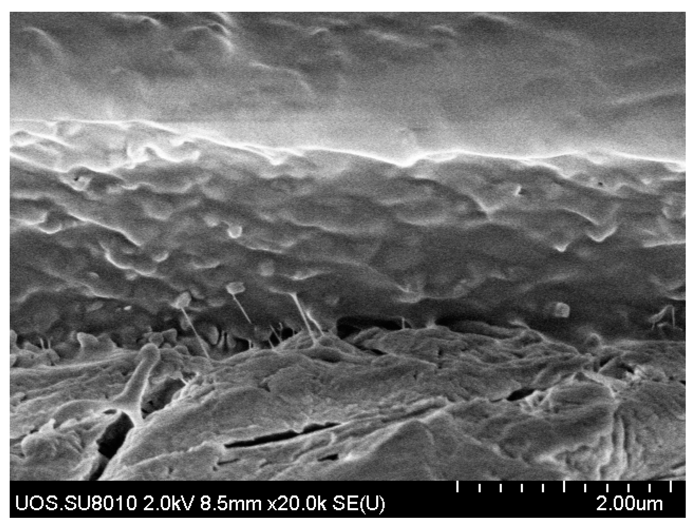 Membranes 11 00708 g012