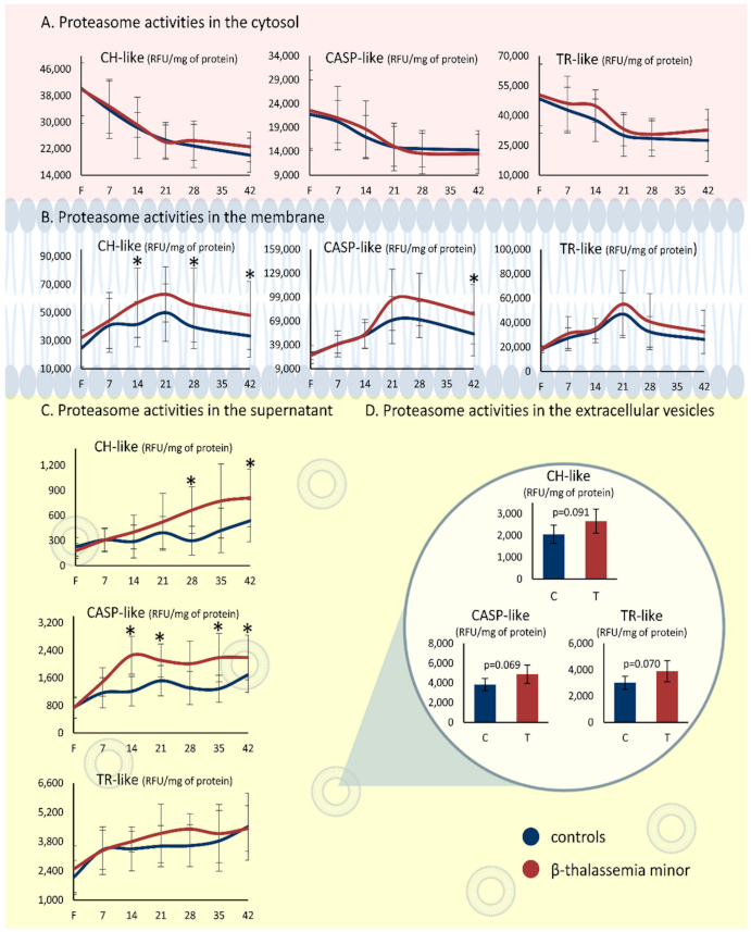 Membranes 11 00716 g001