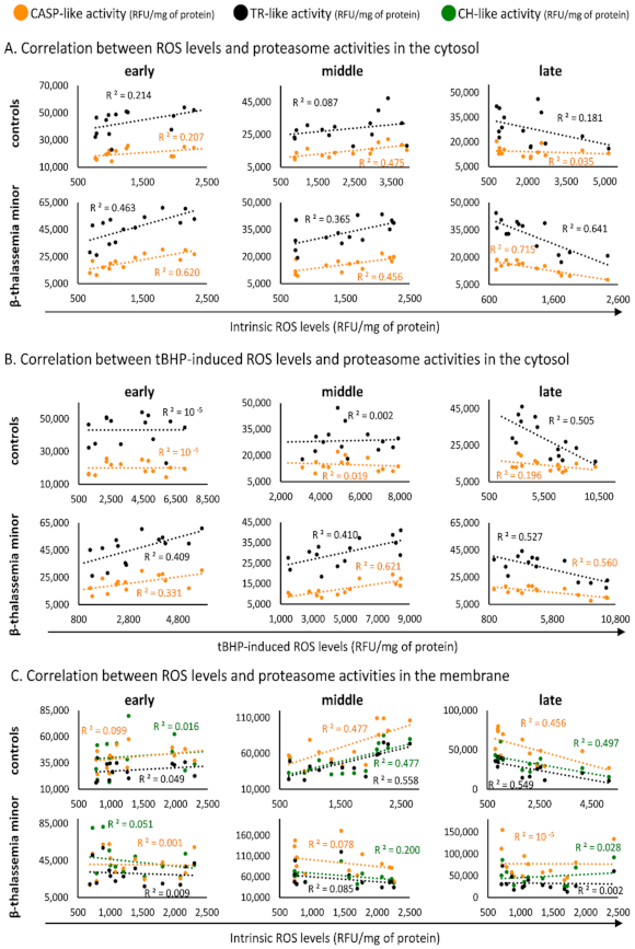 Membranes 11 00716 g002