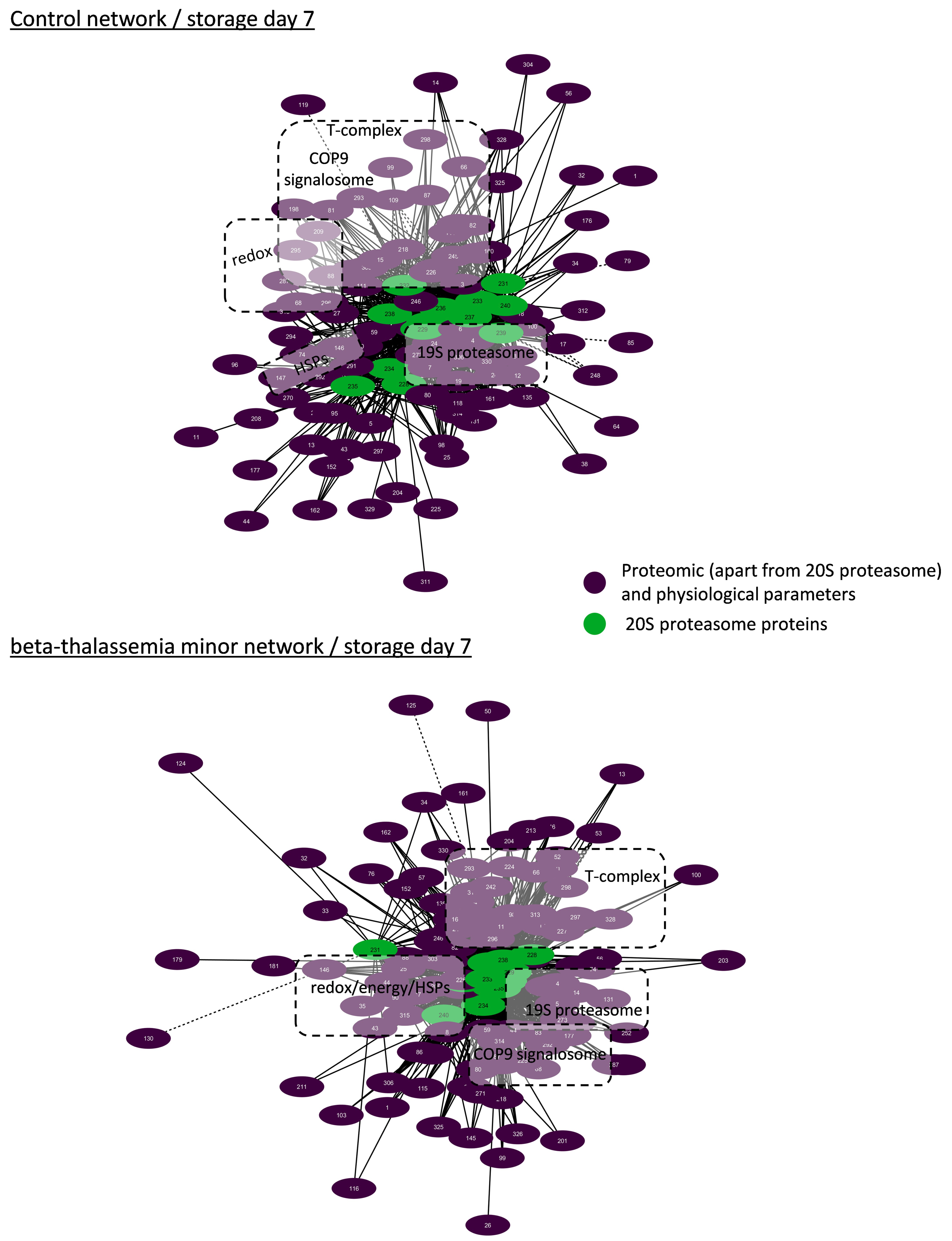 Membranes 11 00716 g004