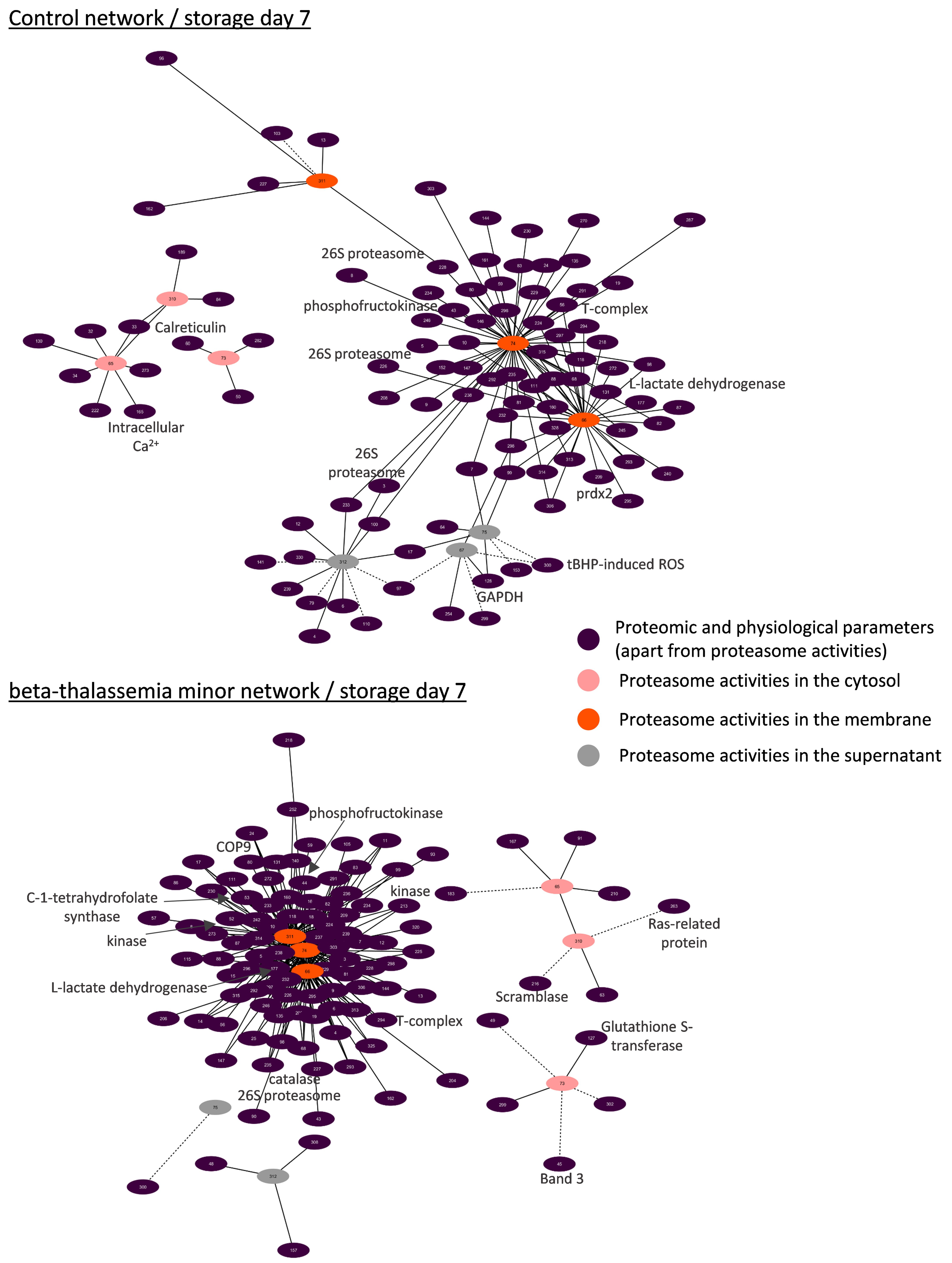 Membranes 11 00716 g006