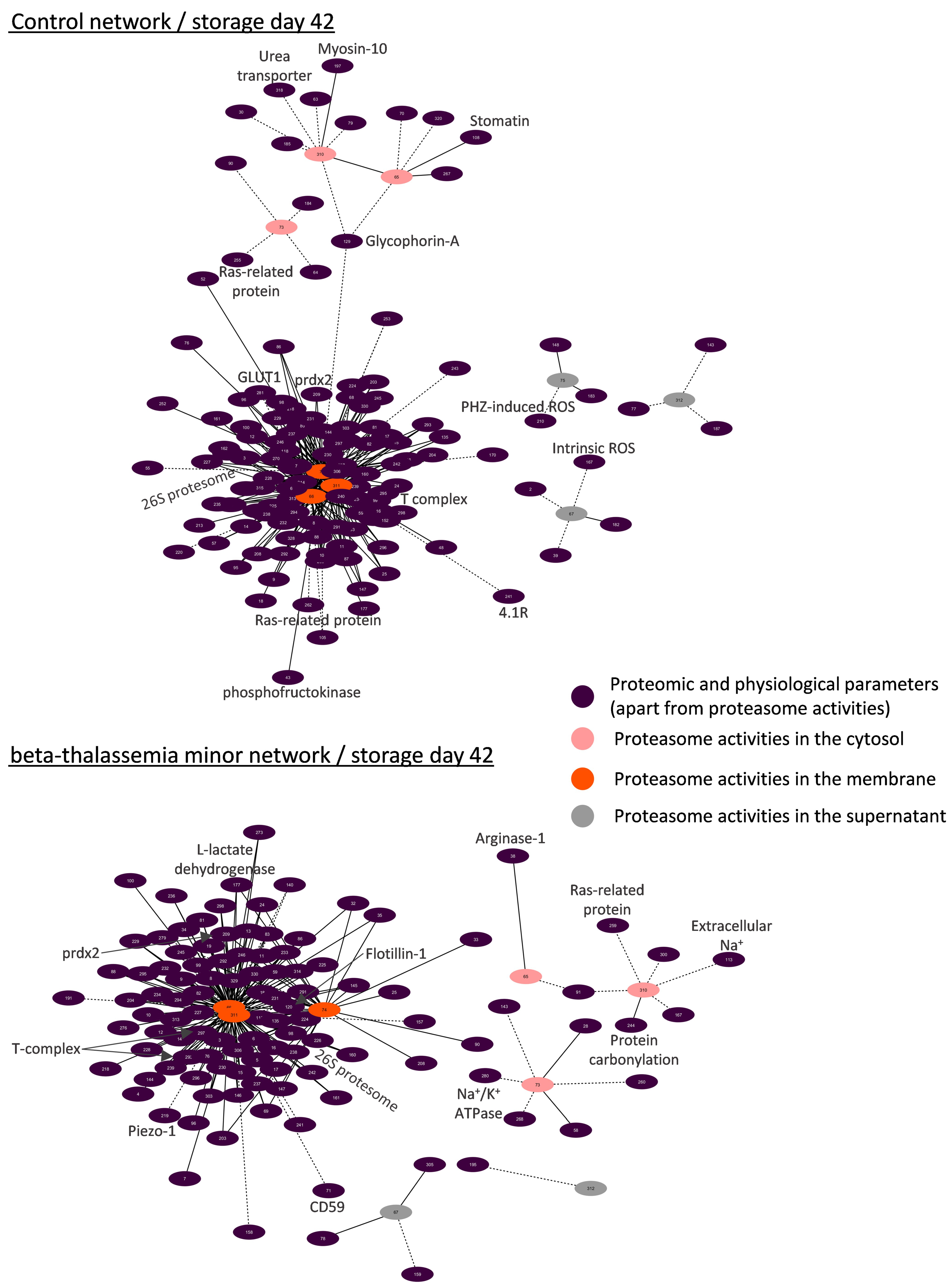 Membranes 11 00716 g007