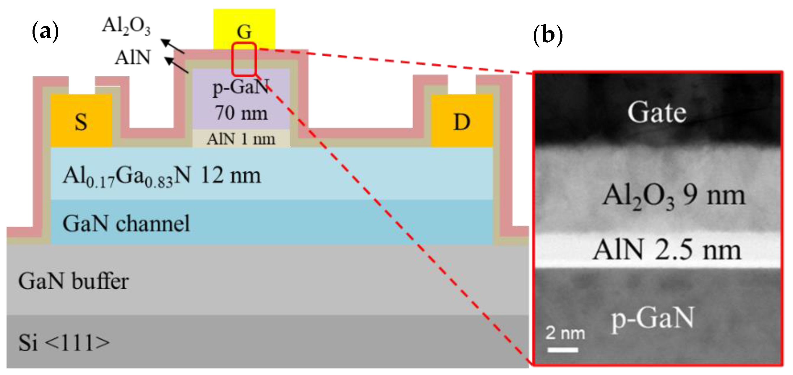 Membranes 11 00727 g001