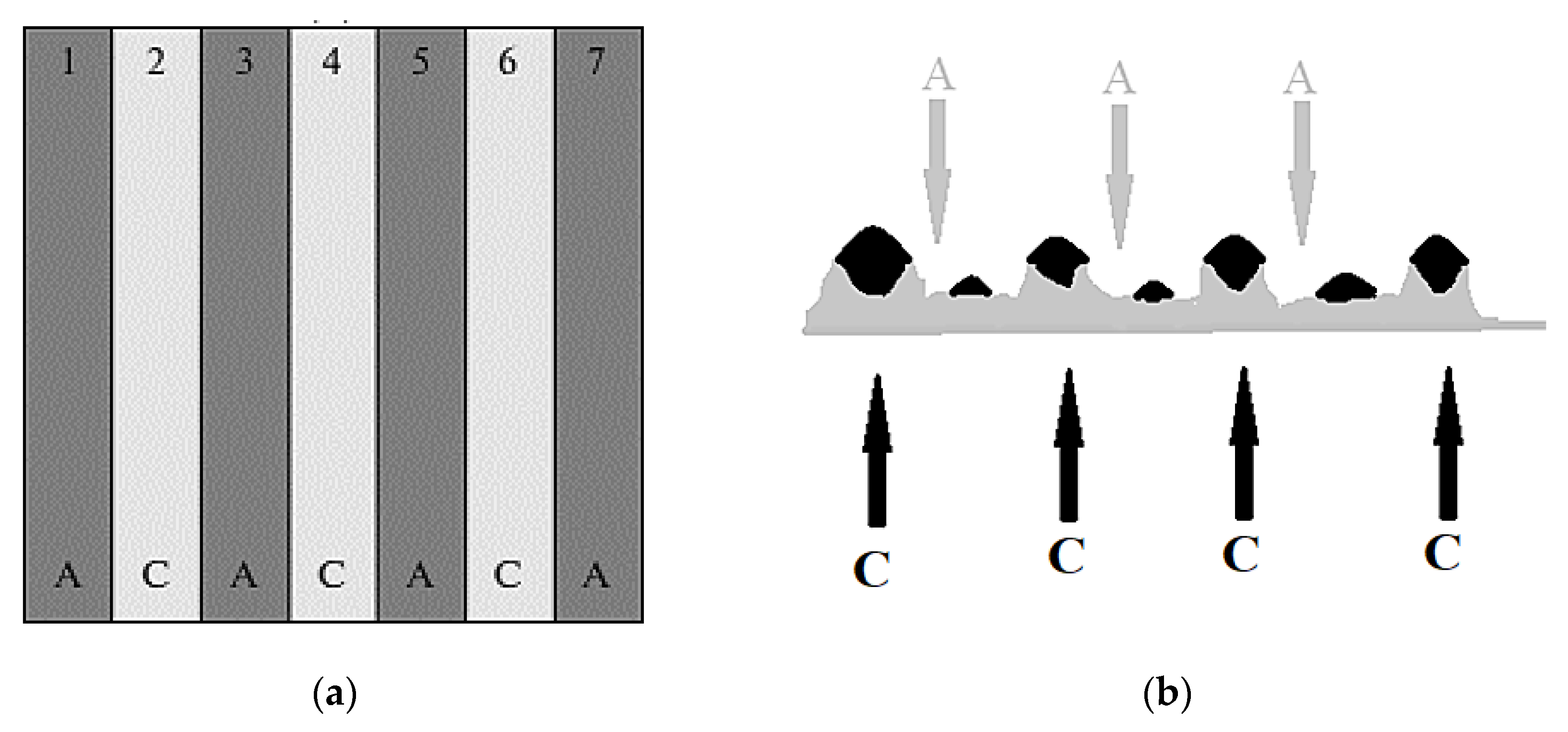 Membranes 11 00734 g007