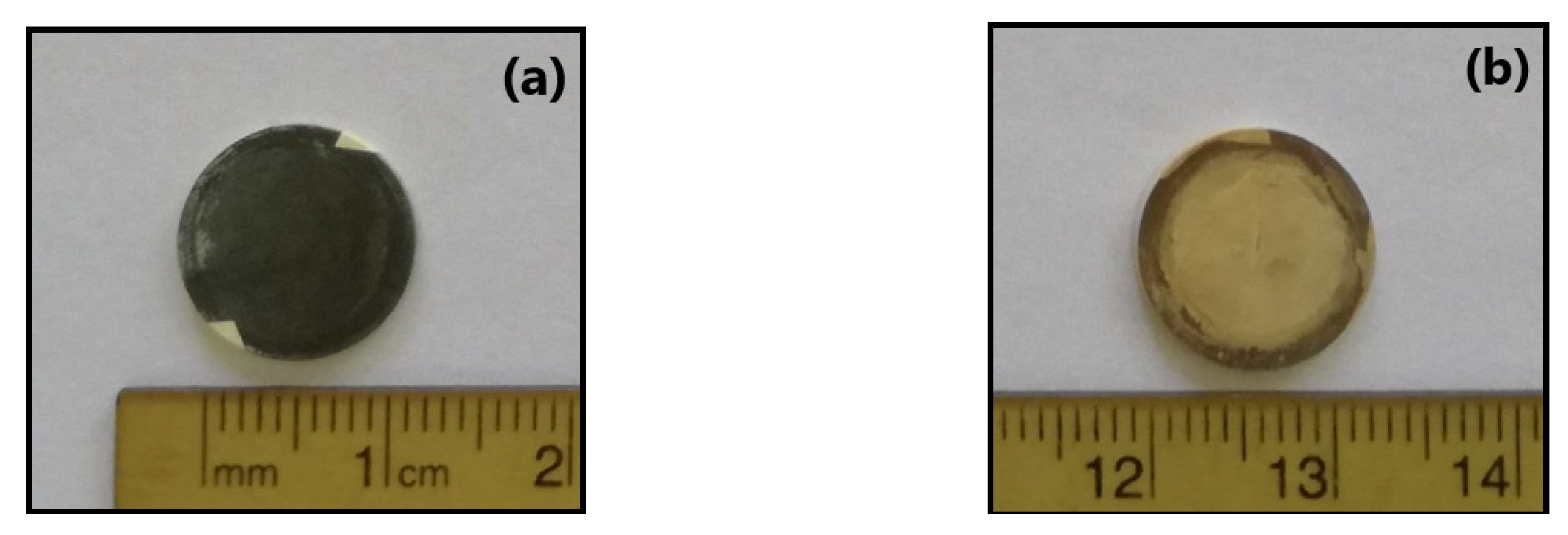 Membranes 11 00735 g001